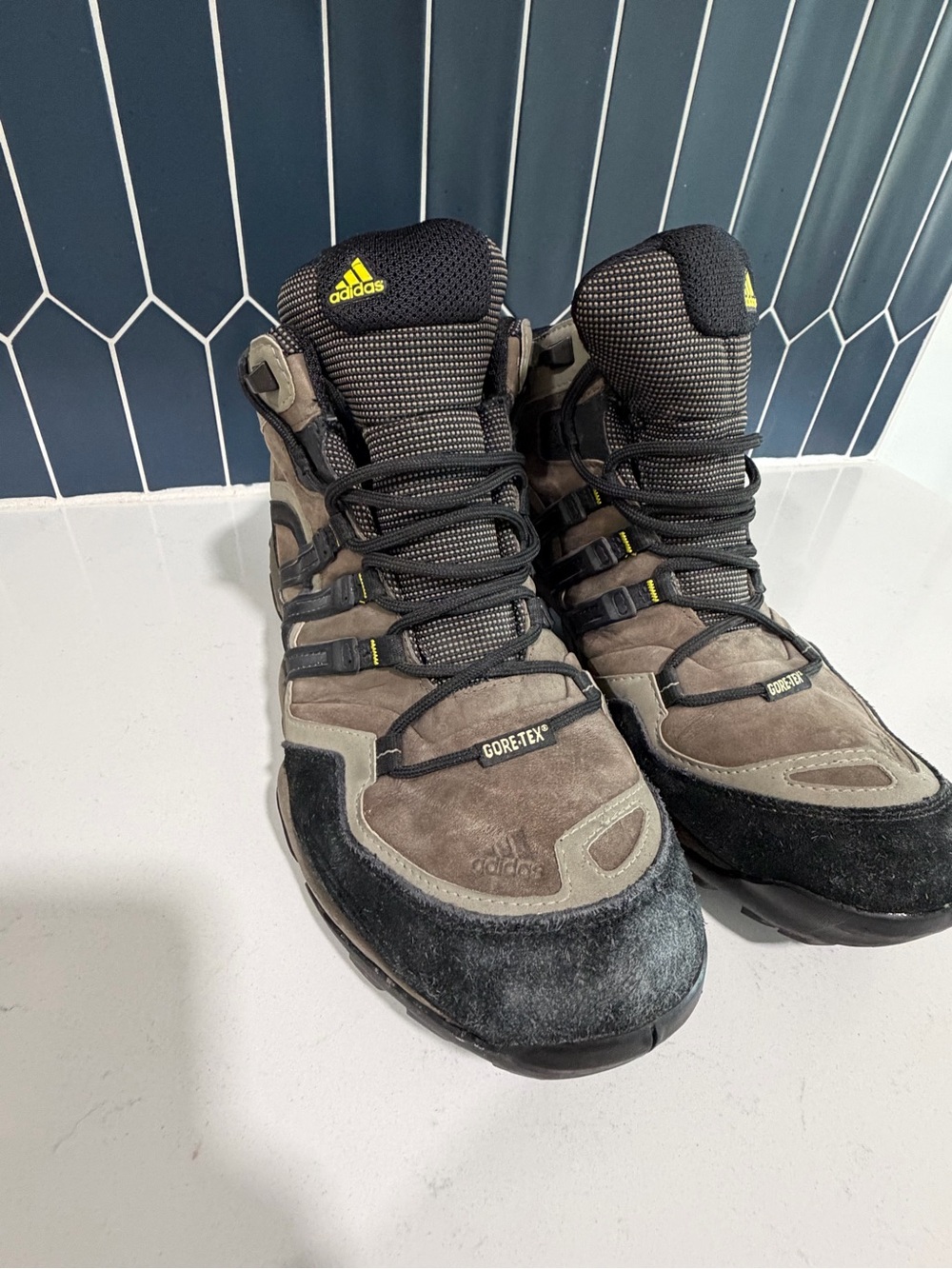 Adidas Men’s Gore-Tex Hiking Boots